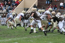 Enlarge photo 297