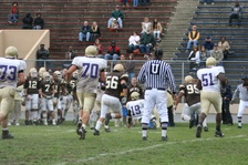 Enlarge photo 302