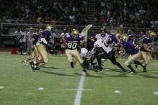 Enlarge photo 91
