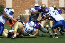 Enlarge photo 47