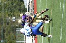 Enlarge photo 52
