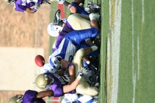 Enlarge photo 96