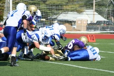 Enlarge photo 177