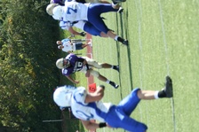 Enlarge photo 214