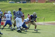 Enlarge photo 231
