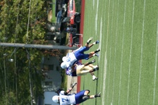 Enlarge photo 275