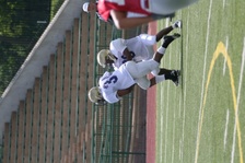 Enlarge photo 135