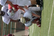 Enlarge photo 159
