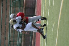 Enlarge photo 196