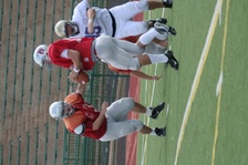 Enlarge photo 228