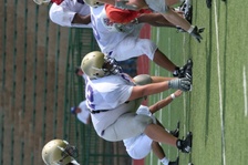 Enlarge photo 232