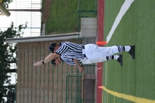 Enlarge photo 247
