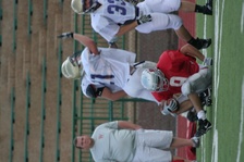 Enlarge photo 251
