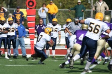 Enlarge photo 51