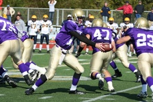 Enlarge photo 61