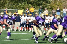 Enlarge photo 135