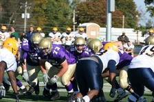 Enlarge photo 226