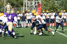 Enlarge photo 274