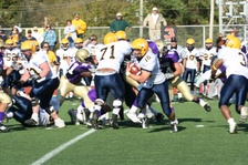 Enlarge photo 275