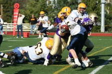 Enlarge photo 302