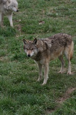 Enlarge photo 8