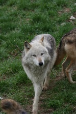 Enlarge photo 11