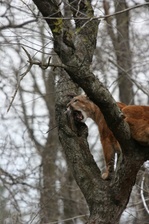 Enlarge photo 35