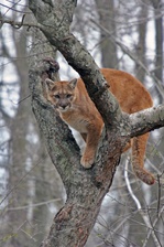 Enlarge photo 38