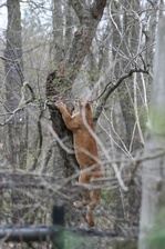 Enlarge photo 48