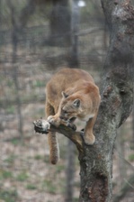 Enlarge photo 49
