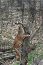 Enlarge photo 51