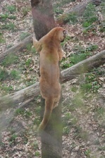 Enlarge photo 52