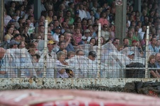 Enlarge photo 65