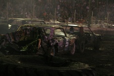 Enlarge photo 232
