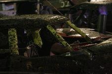 Enlarge photo 288