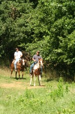 Enlarge photo 28