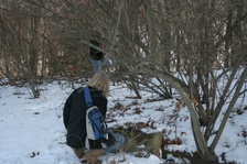 Enlarge photo 27