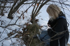 Enlarge photo 28