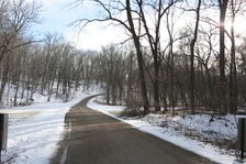 Enlarge photo 38