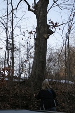 Enlarge photo 40
