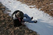 Enlarge photo 44