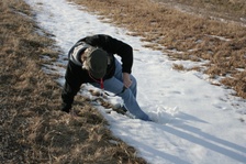 Enlarge photo 45