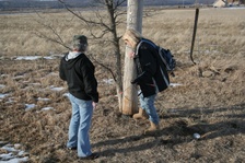 Enlarge photo 48