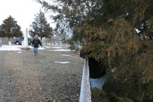 Enlarge photo 98