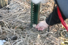 Enlarge photo 134