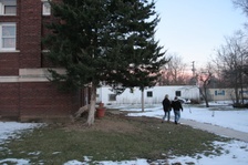 Enlarge photo 160