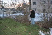 Enlarge photo 165