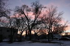 Enlarge photo 179