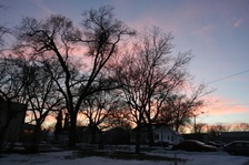 Enlarge photo 181