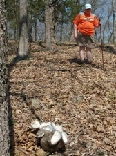 Enlarge photo 22